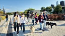 Inclusive West Kowloon Community Engagement Programme